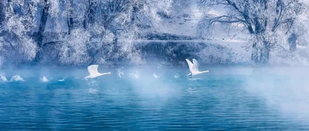 央视点赞，千万人围观！赛里木湖再现冬日震撼奇观！