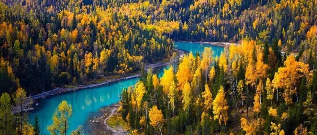 别再问喀纳斯黄了没有啦？！这份保姆级赏秋攻略拿走不谢！