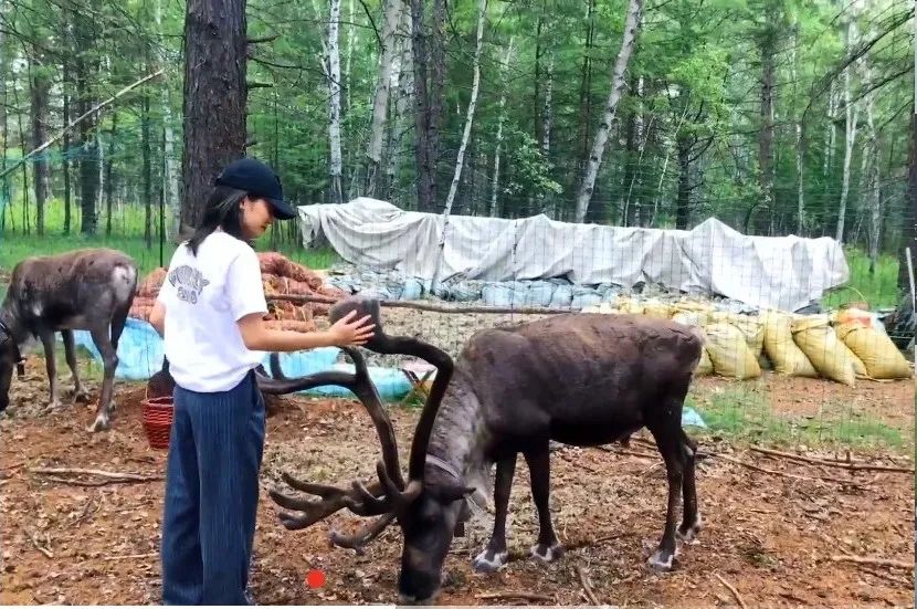 正暑假！今年夏天親子遊想好去哪兒了嗎？這大概是國內最涼爽的玩法了吧 旅遊 第22張