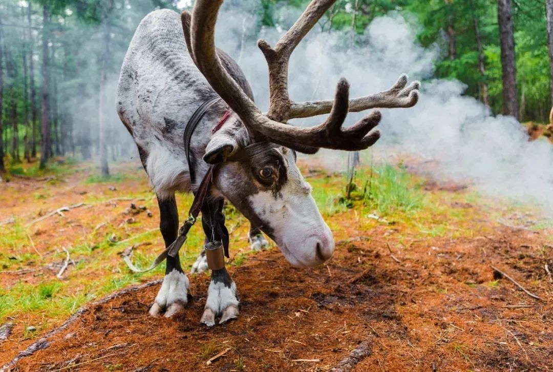 正暑假！今年夏天親子遊想好去哪兒了嗎？這大概是國內最涼爽的玩法了吧 旅遊 第21張