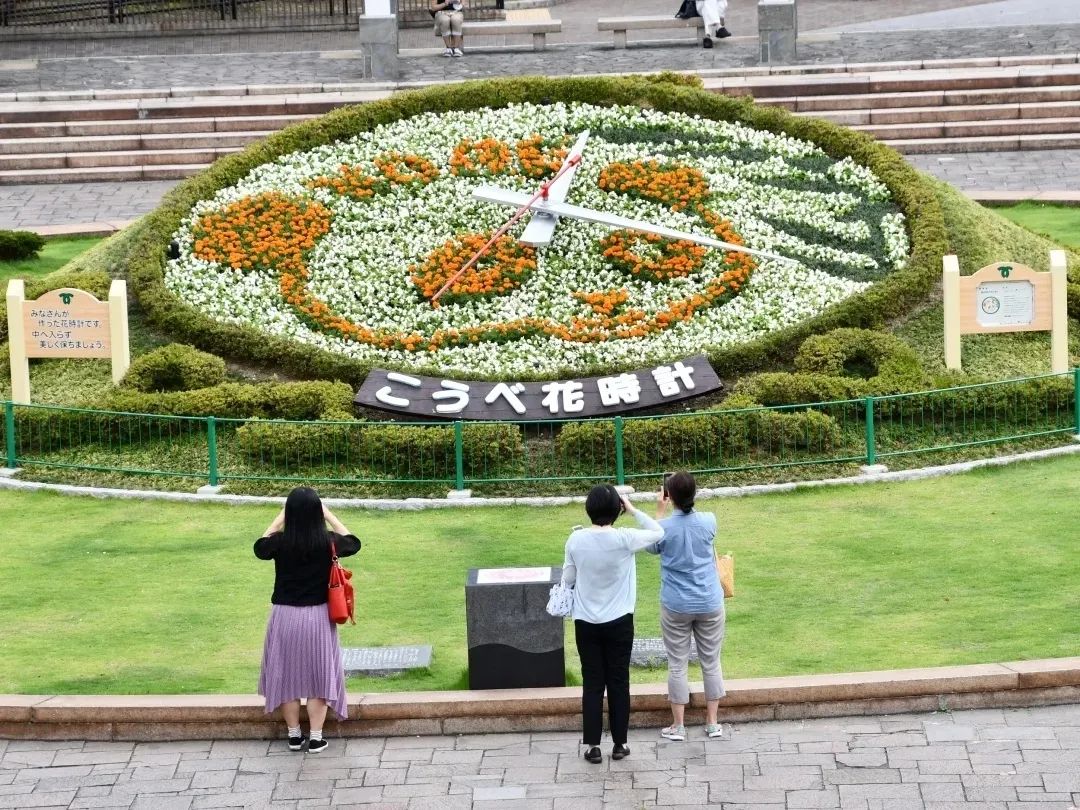 旅日年大熊猫 旦旦 即将回国 大批日本游客抽签入园告别 日本网友 不要离开好不好 日本旅游攻略 微信公众号文章阅读 Wemp