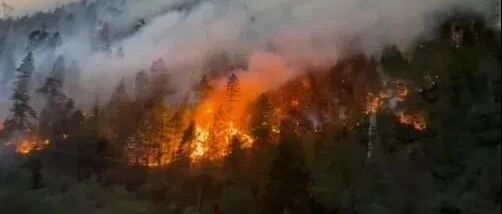 林芝的大火，可能会带走哪些美景？
