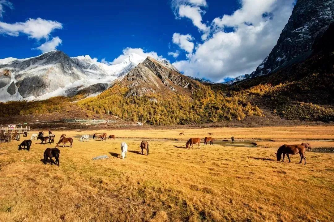 藍色星球上最後一方淨土——稻城亞丁，有生之年一定要去的川西秘境~ 旅遊 第24張