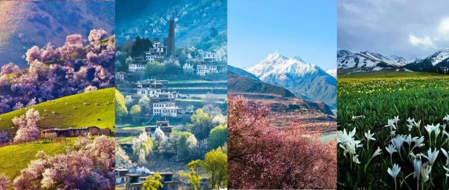 刷爆朋友圈的4月中国赏花地图，点开的瞬间就被惊艳到了！！！