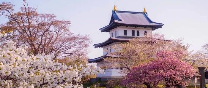 2021年日本樱花前线预测，待疫情好转，我们一起去赏樱吧！