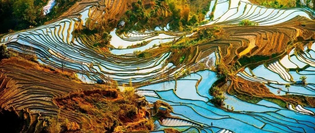 错过了十一，也不要错过这里的秋天——如果世上有天堂，那就是云南秋天的模样！