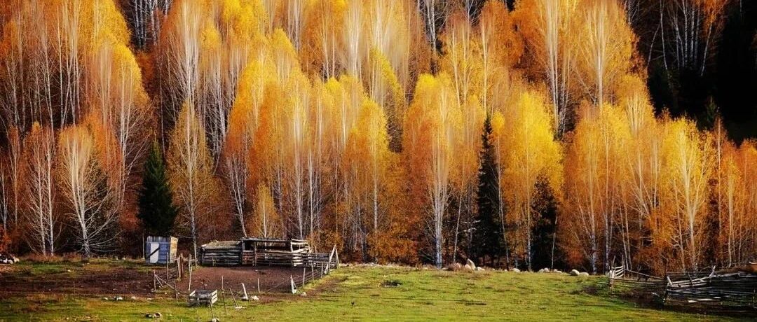 国庆性价比之王！ 一条路线走遍草原沙漠湖泊，它当之无愧！