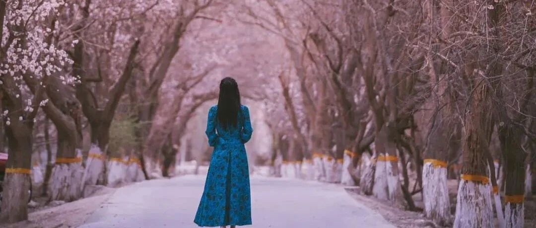 为什么新疆的杏花火了？这份2022年指南你一定要收藏