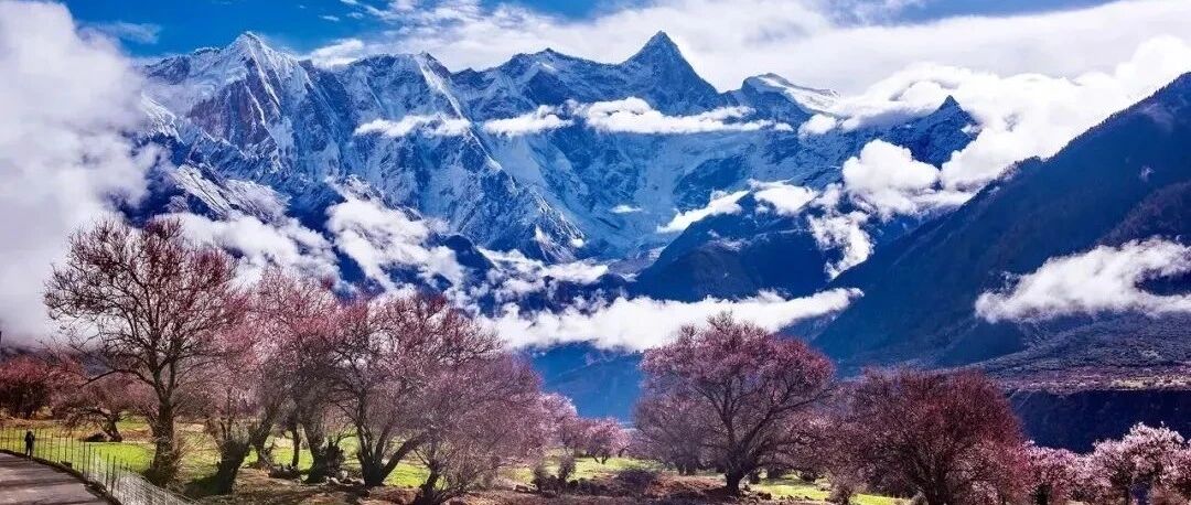 2021林芝桃花节来了！十里桃花蔚然如烟，在西藏邂逅最美春天~