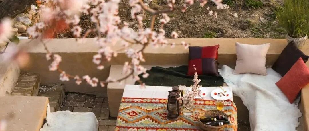 赶紧码住！3月新疆赏花住哪儿最方便？这些绝美民宿每个都想冲！！