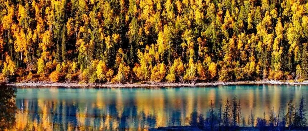 倒计时30天，全国要羡慕死新疆了！！！