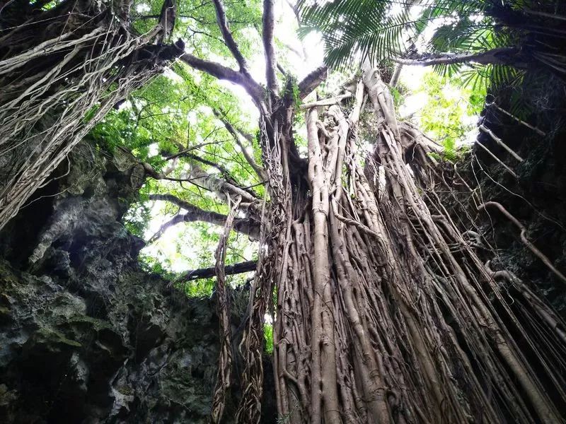 深度丨為什麼日本人都愛反季節玩沖繩？溫度適宜價格低，還有這些…… 旅遊 第11張