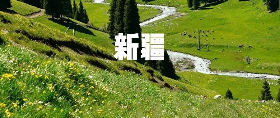 “五一”访客500w人次?新疆这些日本“同款”美景，让我放下了赴日旅行的执念!