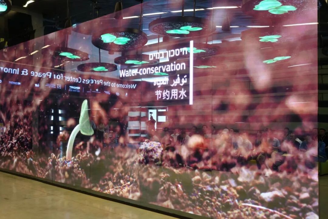 以色列考察权威