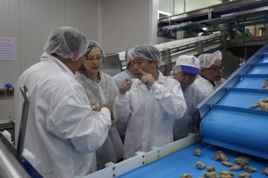 以色列食品大厂考察