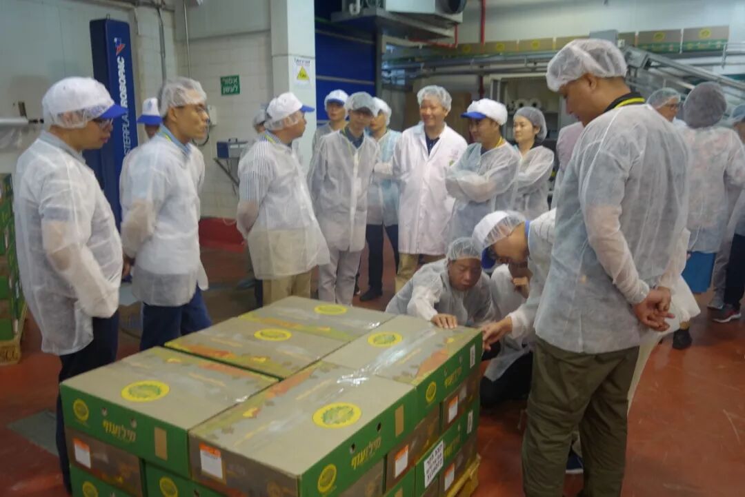 以色列高端考察