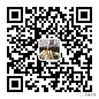 地图和灯鱼_灯鱼可以和什么鱼混养_头上有灯的鱼是什么鱼