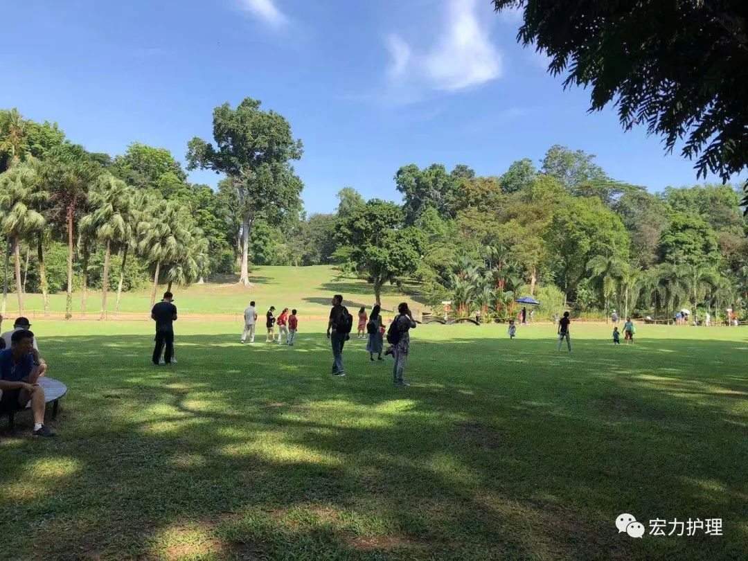 护理优质经验服务方案_护理优质经验服务内容_的优质护理服务经验