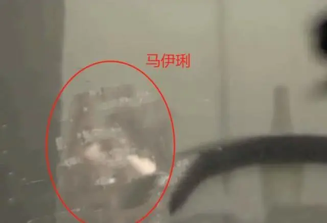 马伊琍绯闻男友疑曝光,竟是《欢乐颂》小17岁男演员?离婚一年仍对小鲜肉情有独钟?