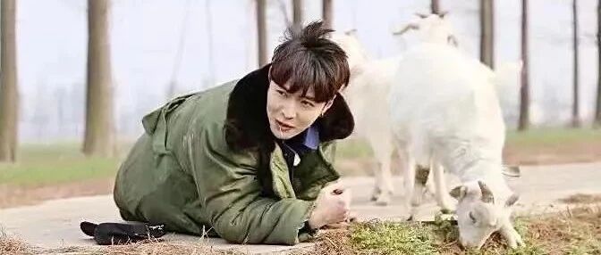 黑粉最多？他真有那么招人厌？