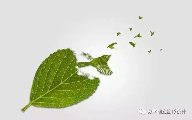 初识–数字动态图形设计