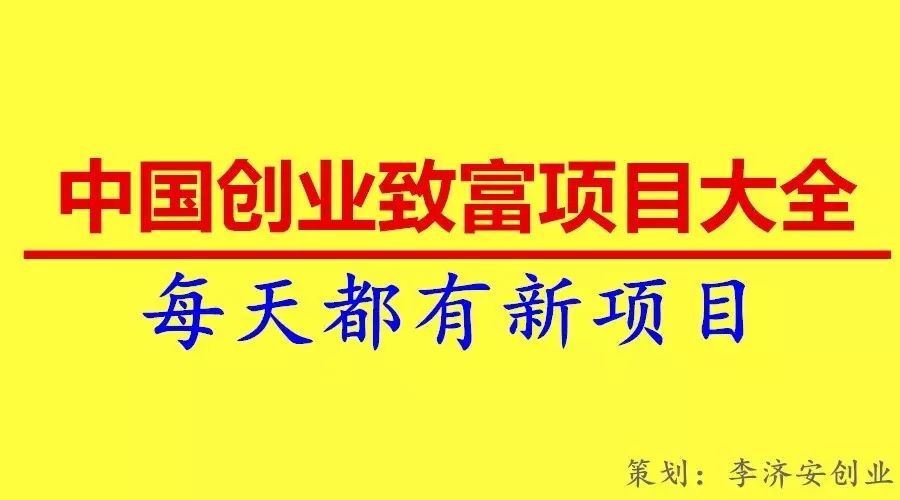 创业项目大全 个人 《中国创业致富项目大全》2017年总目录（248个新奇特创意产品、项目）