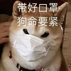 什么口罩防病毒防风防霾防病毒，该选啥子口罩你一定很纠结！_https://www.jmylbn.com_新闻资讯_第11张