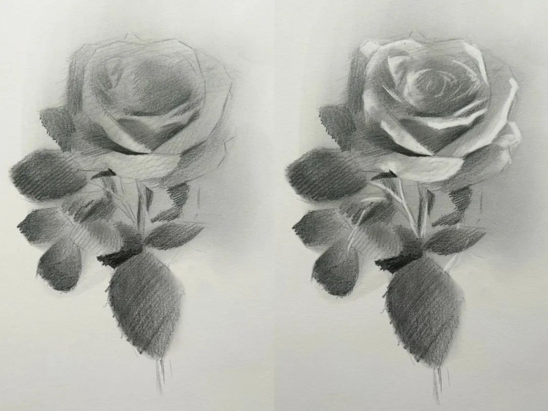 美术匠素描教程:跟随这份图文教程,绘制你的第一朵玫瑰