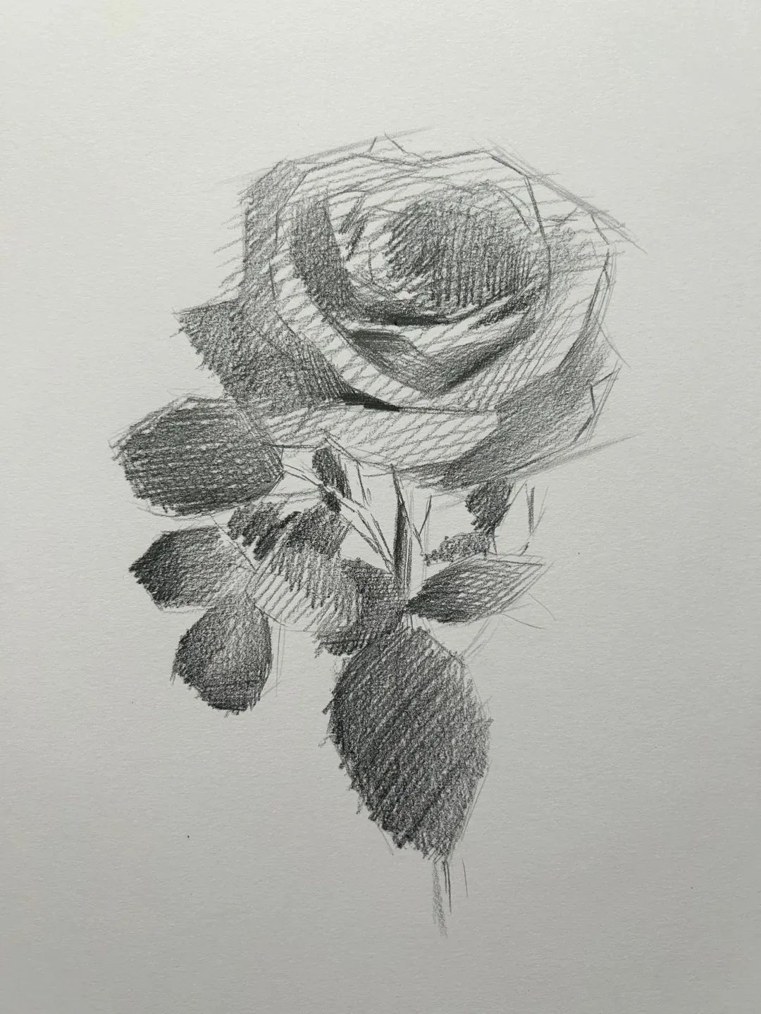 美术匠素描教程:跟随这份图文教程,绘制你的第一朵玫瑰