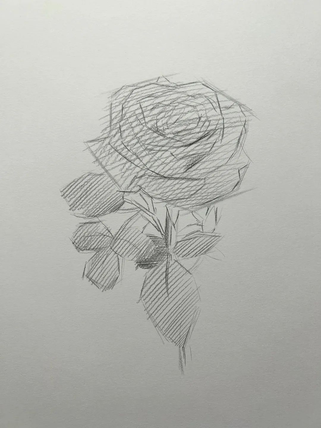 玫瑰铅笔画简笔画图片