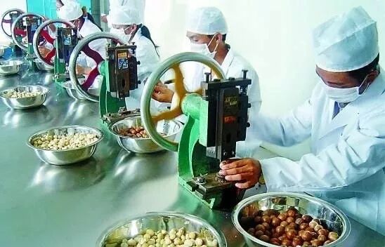 2018年第八届国际澳洲坚果大会