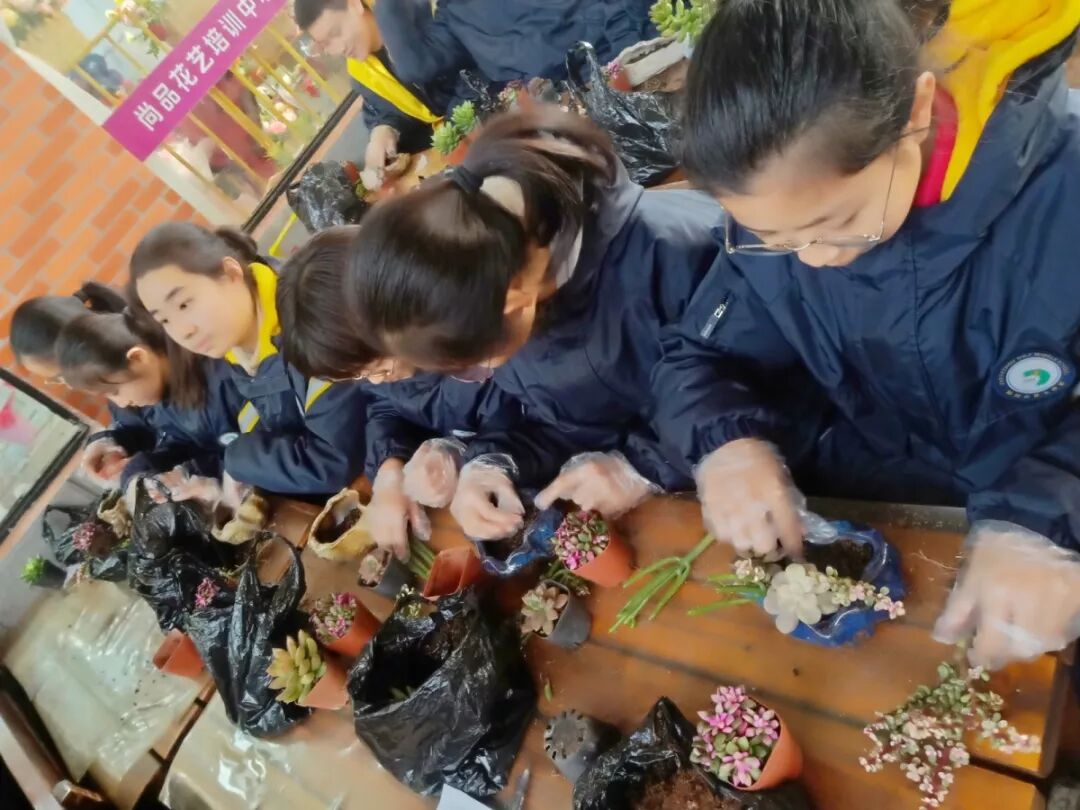 感受植物之美，體驗(yàn)栽培之樂(lè) ——陳砦花卉市場(chǎng)迎接鄭州市第七初級(jí)中學(xué)生物組組織學(xué)生研學(xué)活動(dòng)