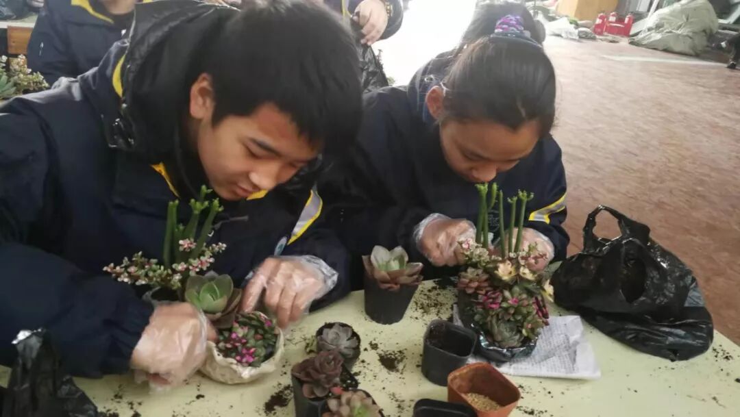 感受植物之美，體驗(yàn)栽培之樂(lè) ——陳砦花卉市場(chǎng)迎接鄭州市第七初級(jí)中學(xué)生物組組織學(xué)生研學(xué)活動(dòng)