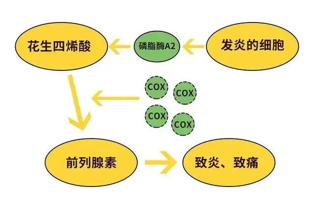 疼痛科怎么理疗义诊活动  ｜ 世界镇痛日、中国疼痛周10.21日-10月25日 我院疼痛科门诊免费义诊！免费理疗！治疗费半价！_https://www.jmylbn.com_新闻资讯_第11张
