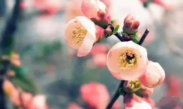 人生，要有阳光般的心态