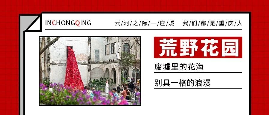 『仁爱堂荒野花园』废墟里也有春天！