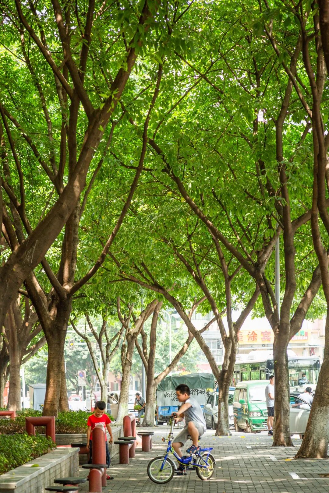 只有頭頂上有黃葛樹的地方，才是重慶！ 旅遊 第10張