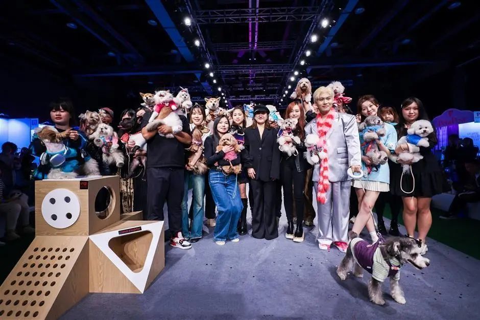  "Discover the Excitement of the Pet Show Novi: A Celebration of Furry Friends and Community Spirit"