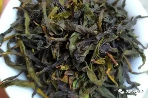 钦典茶人--凤凰单丛多少钱一斤