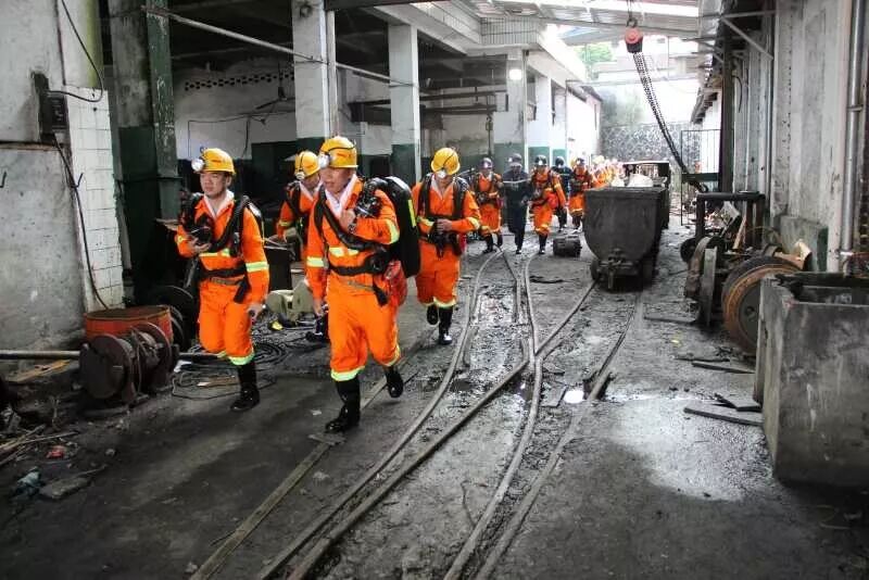 龙岩市安全教育平台登录_龙岩市安全教育平台_龙岩市安全教育平台登录入口