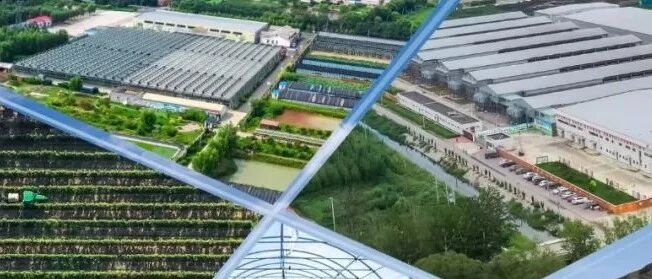 天津这两家集团混改项目正式挂牌！