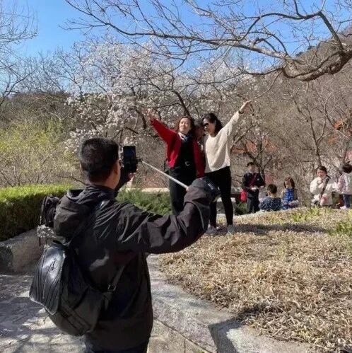 不负春光!津城这个区客流增长360%