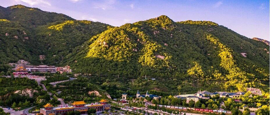 这两天，天津办了一场这样的盛会！