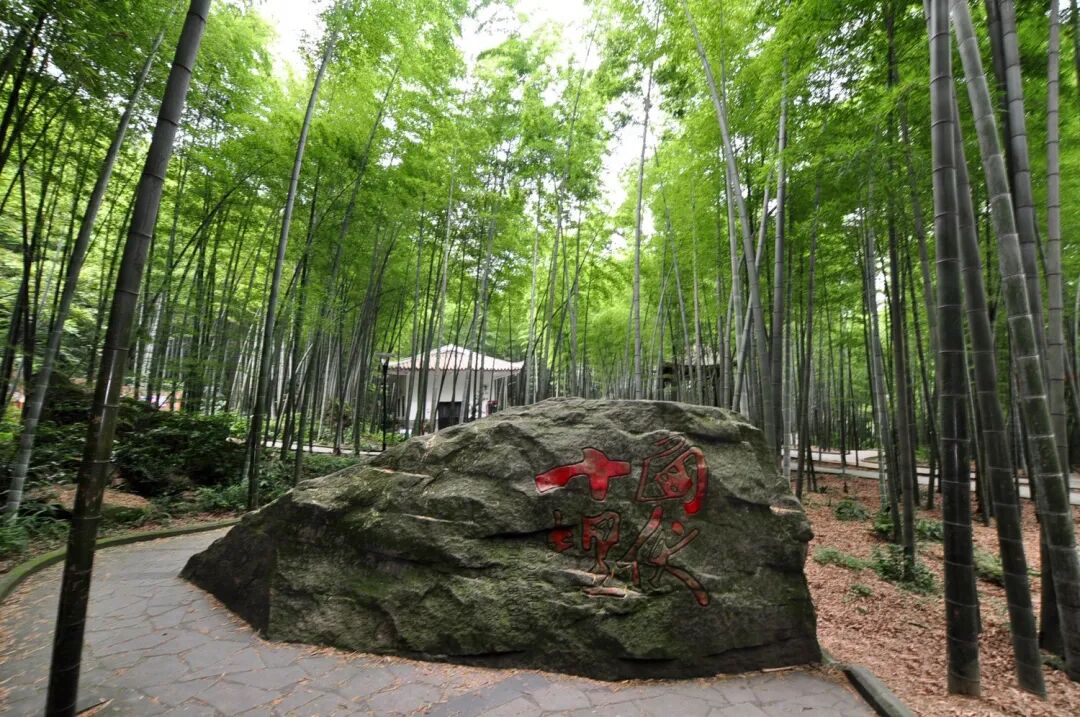 重庆永川茶山竹海旅游景区——重庆景点