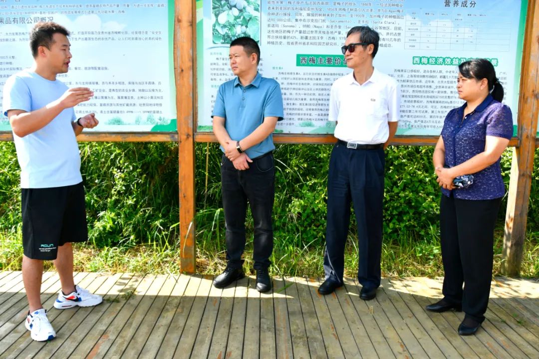 开阳县委书记王启云,县委副书记,县长孙昕,副县长段红莲参加.