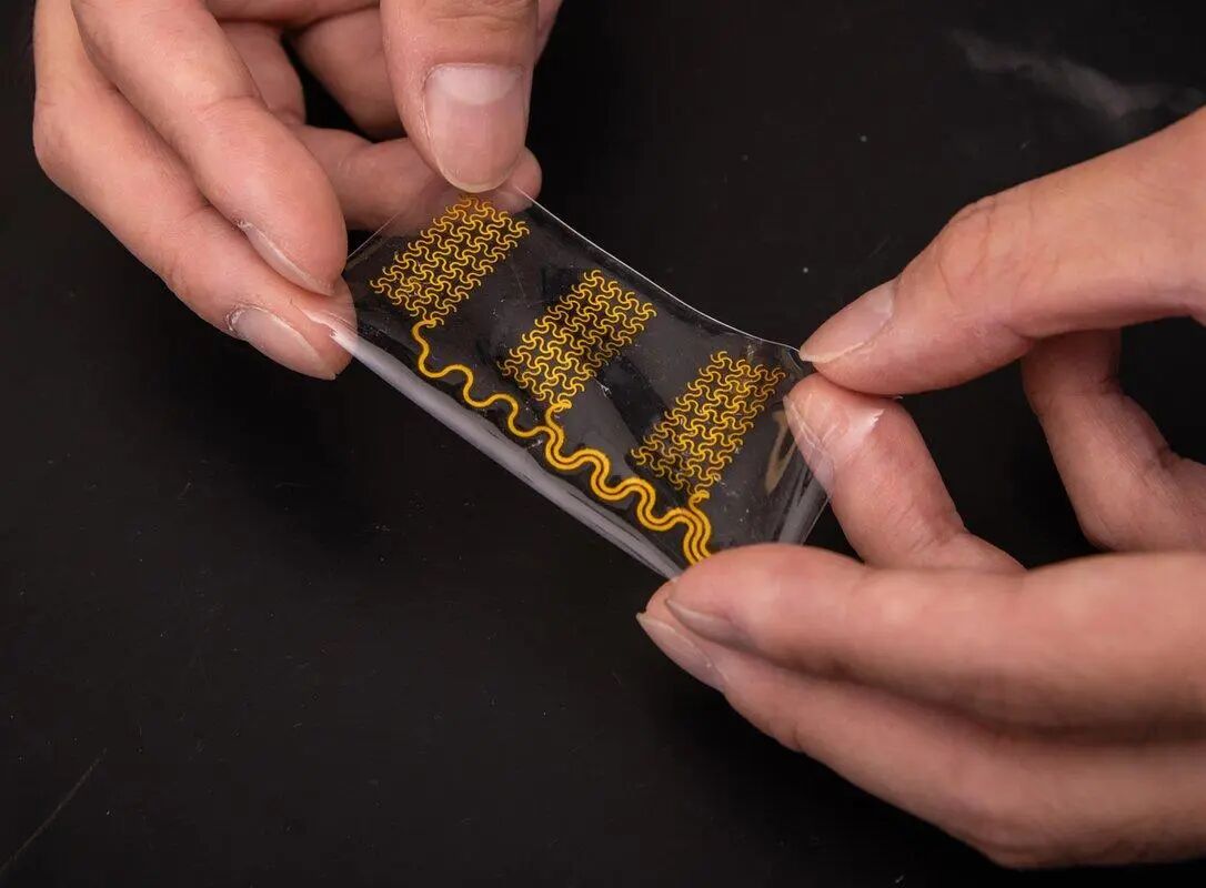 Artificial Skin Gives Robots Sense of Touch and Beyond
     - 
    
    www.caltech.edu