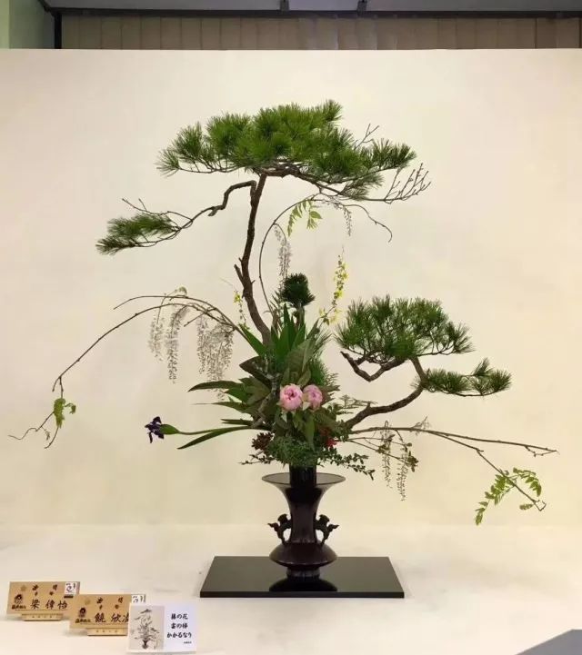 池坊-一花一葉中蘊含的藝術奧秘