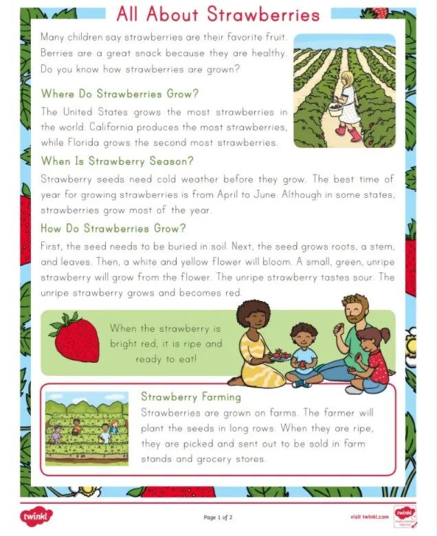 免费资源：Twinkl儿童科普大合集！PPT课件+精美练习纸，自然实践满分