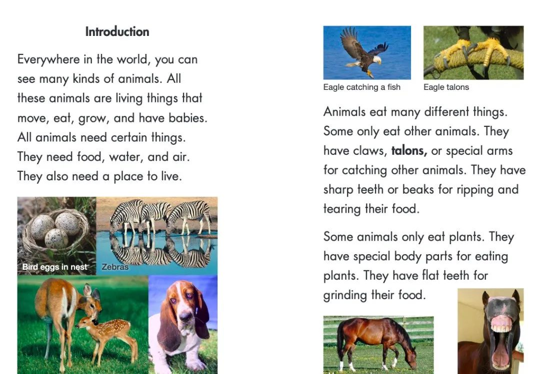 【免费资源分享】 最棒最全的科普类分级绘本《RAZ Science A-Z》