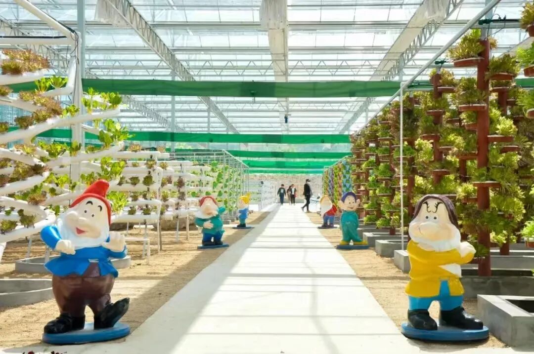 德赢AC米兰官网与钢城区棋山国家森林公园携手合作助力乡村振兴